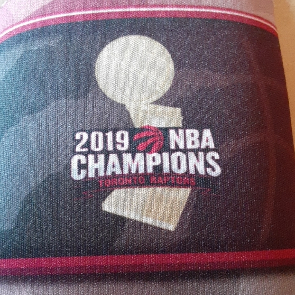 Raptors 2019 NBA Champions Can Cooler